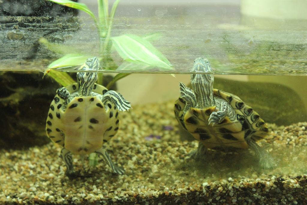 Porzellaneum Wien